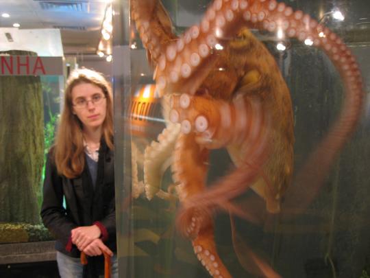 Octopus Side