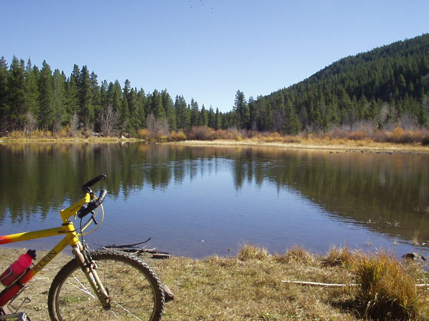 lake -- complete with ducks