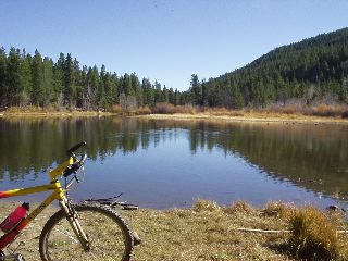 lake -- complete with ducks