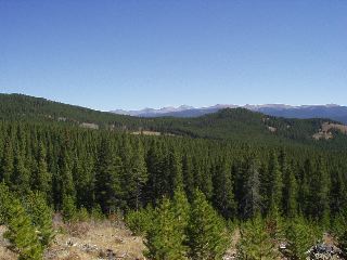 panorama (L)